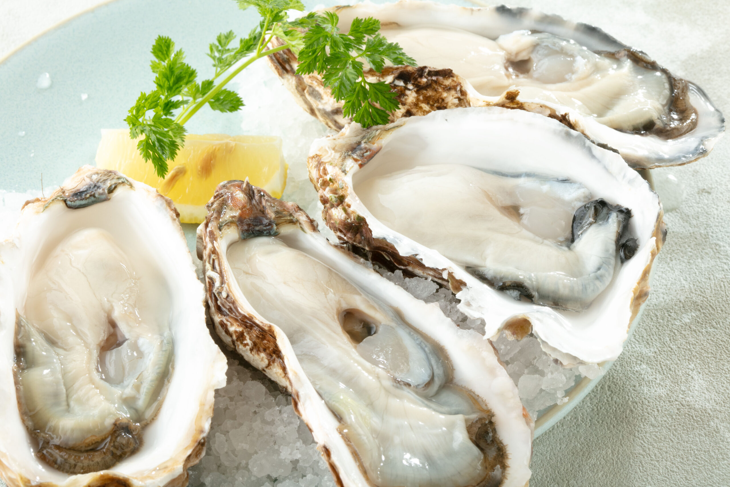 The Oyster House