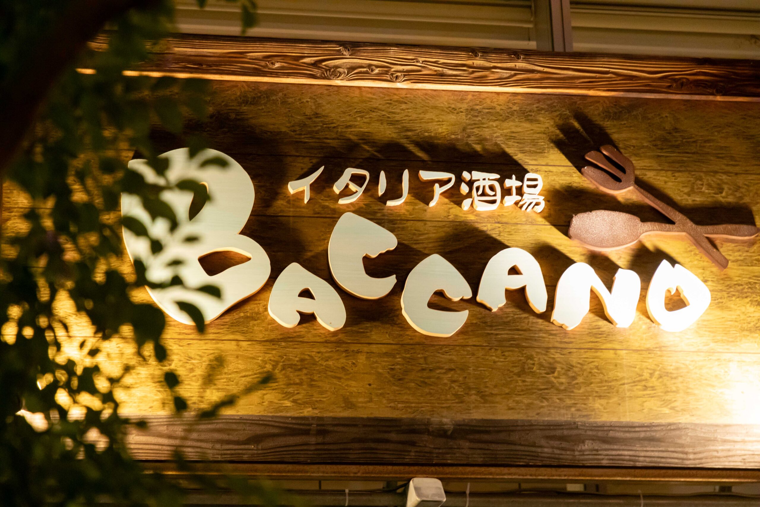 BACCANO